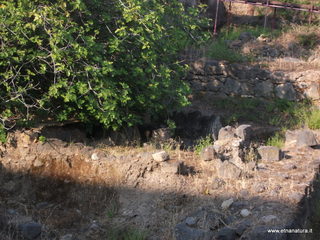 oria Naxos-22-07-2015 08-07-27